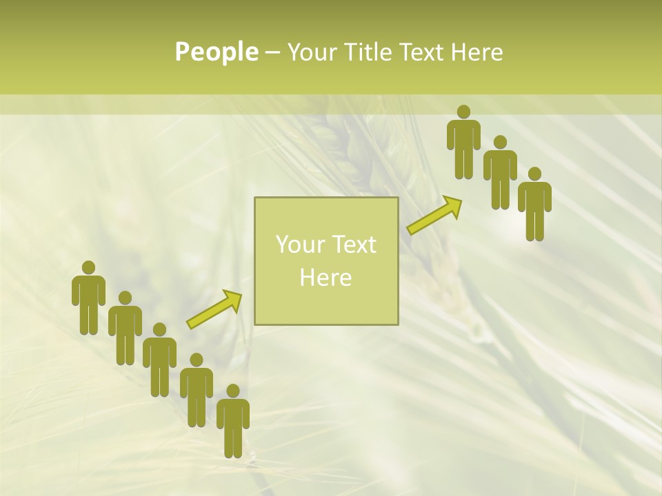 Grain Sun Grass PowerPoint Template