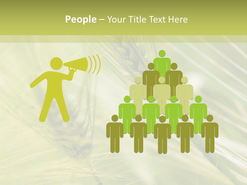 Grain Sun Grass PowerPoint Template