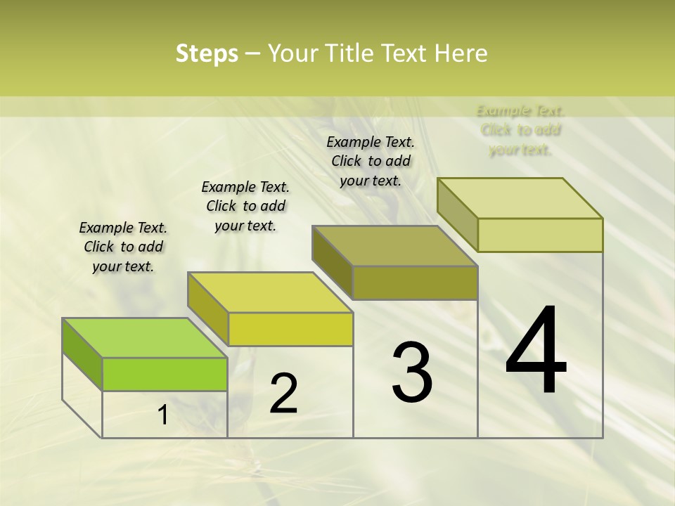 Grain Sun Grass PowerPoint Template
