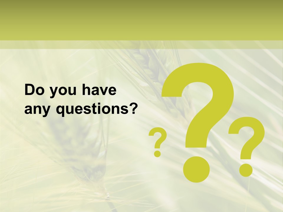 Grain Sun Grass PowerPoint Template