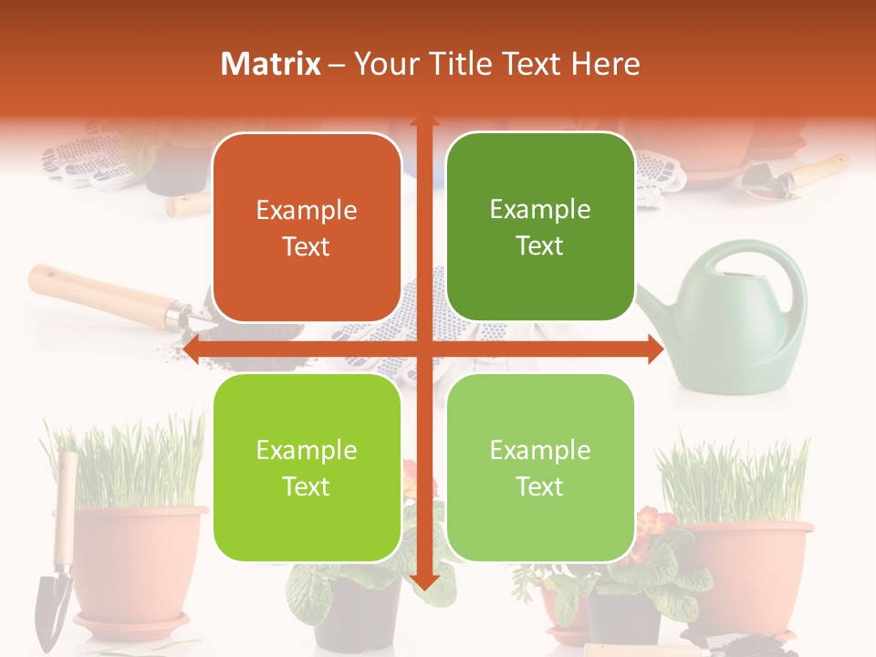 Set Leaf Red PowerPoint Template