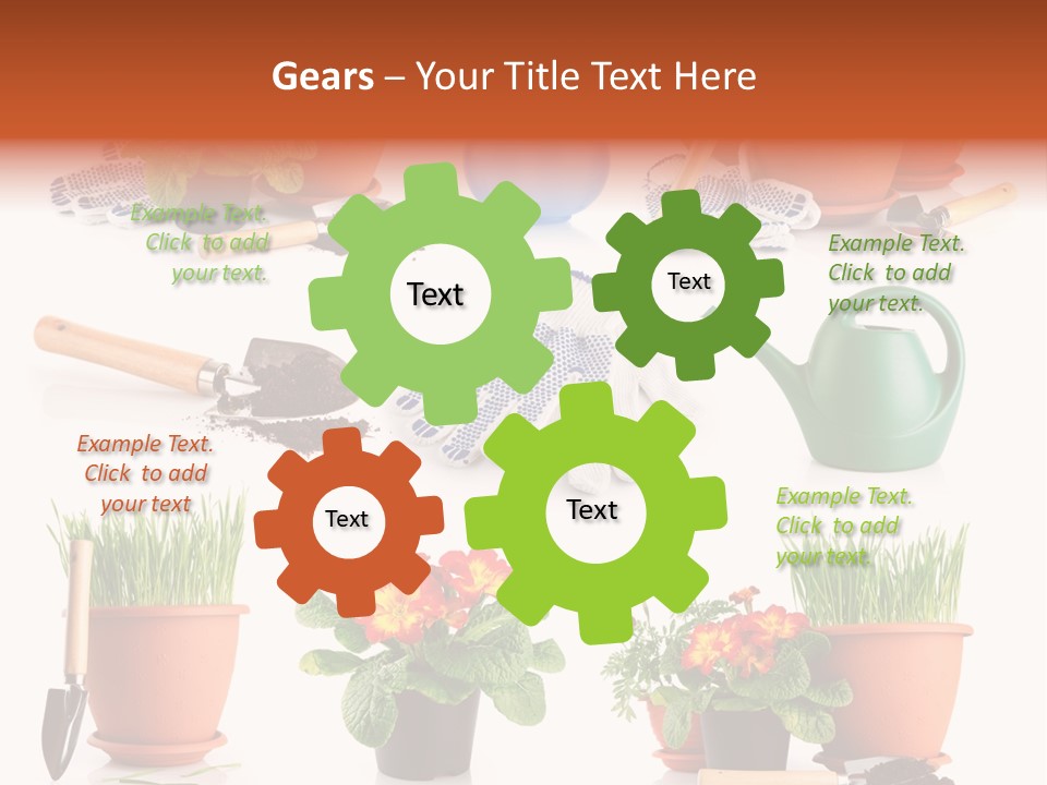 Set Leaf Red PowerPoint Template