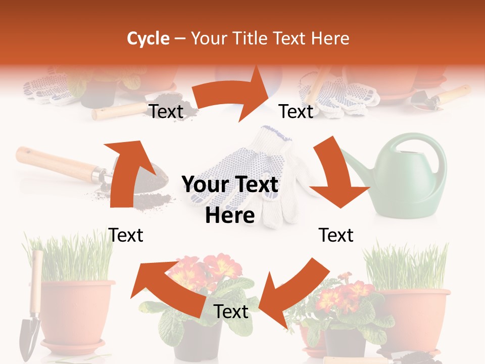 Set Leaf Red PowerPoint Template