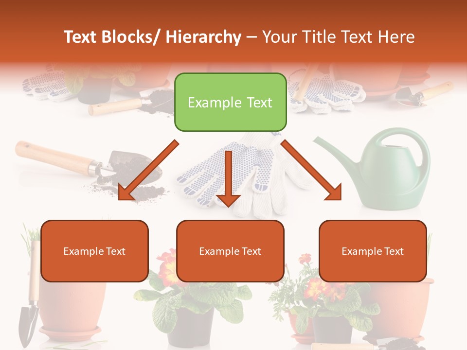 Set Leaf Red PowerPoint Template