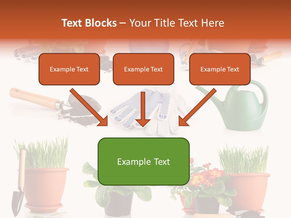 Set Leaf Red PowerPoint Template