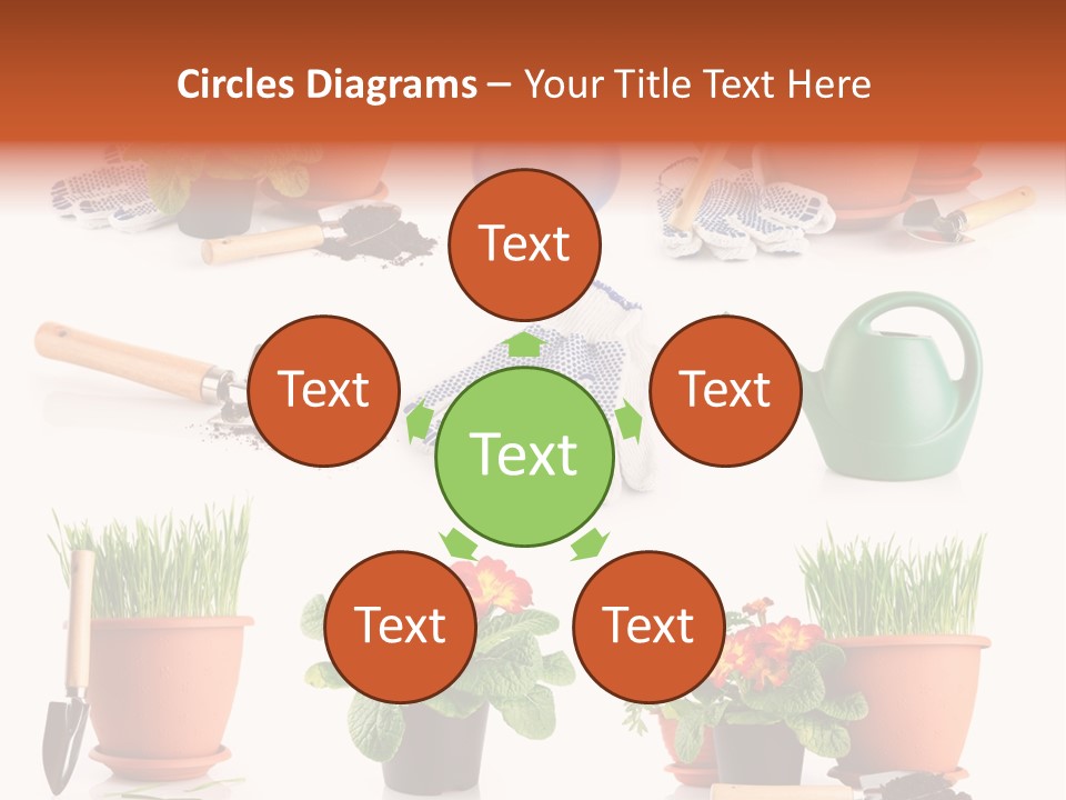 Set Leaf Red PowerPoint Template