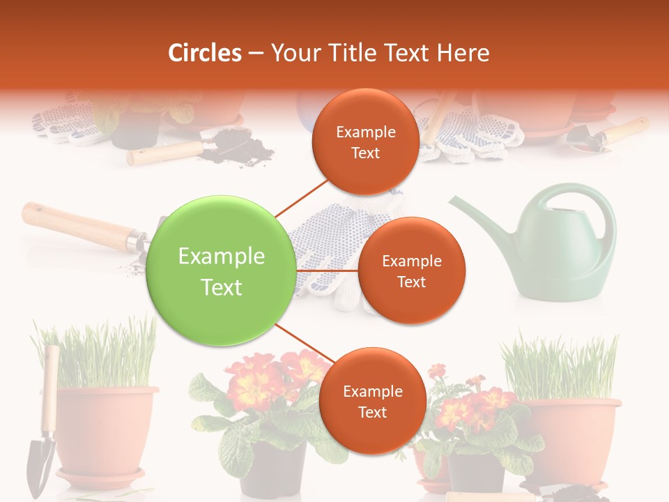 Set Leaf Red PowerPoint Template