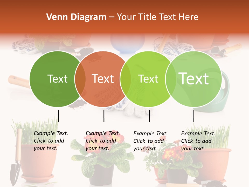 Set Leaf Red PowerPoint Template