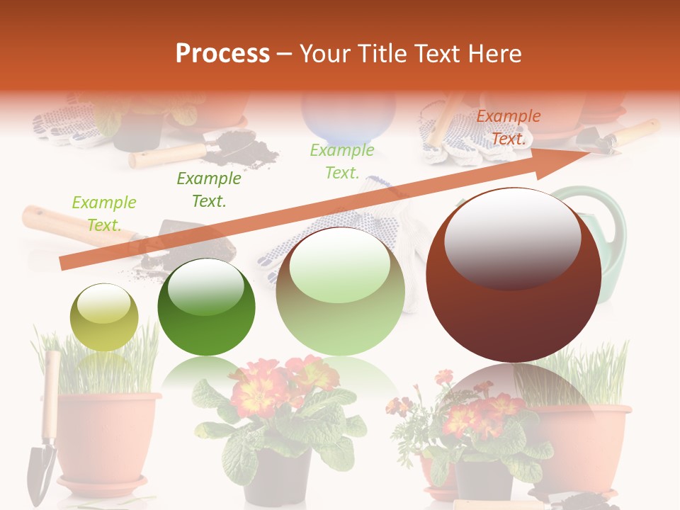 Set Leaf Red PowerPoint Template