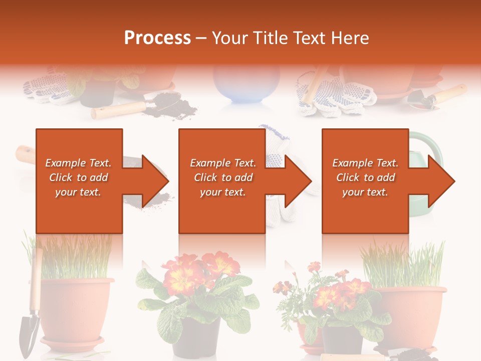 Set Leaf Red PowerPoint Template