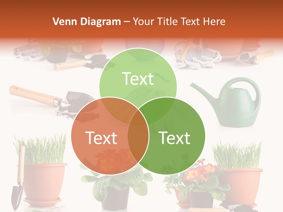 Set Leaf Red PowerPoint Template