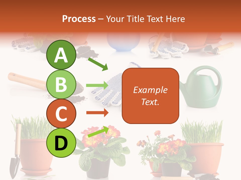 Set Leaf Red PowerPoint Template