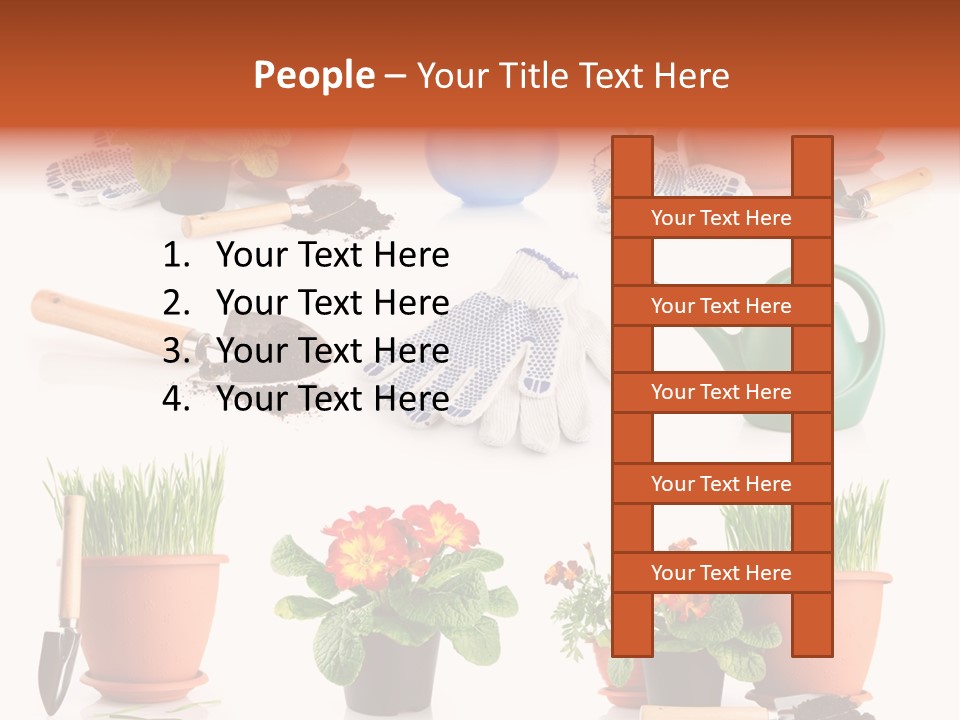 Set Leaf Red PowerPoint Template