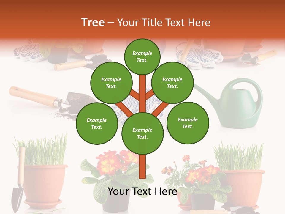 Set Leaf Red PowerPoint Template