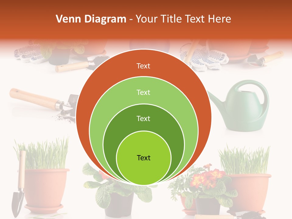Set Leaf Red PowerPoint Template