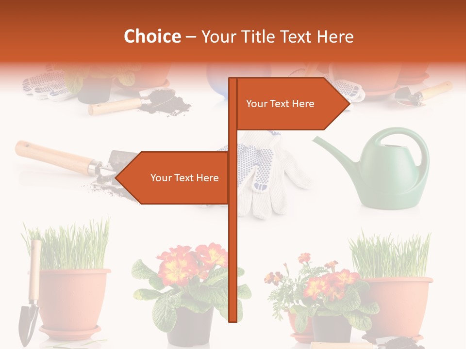 Set Leaf Red PowerPoint Template