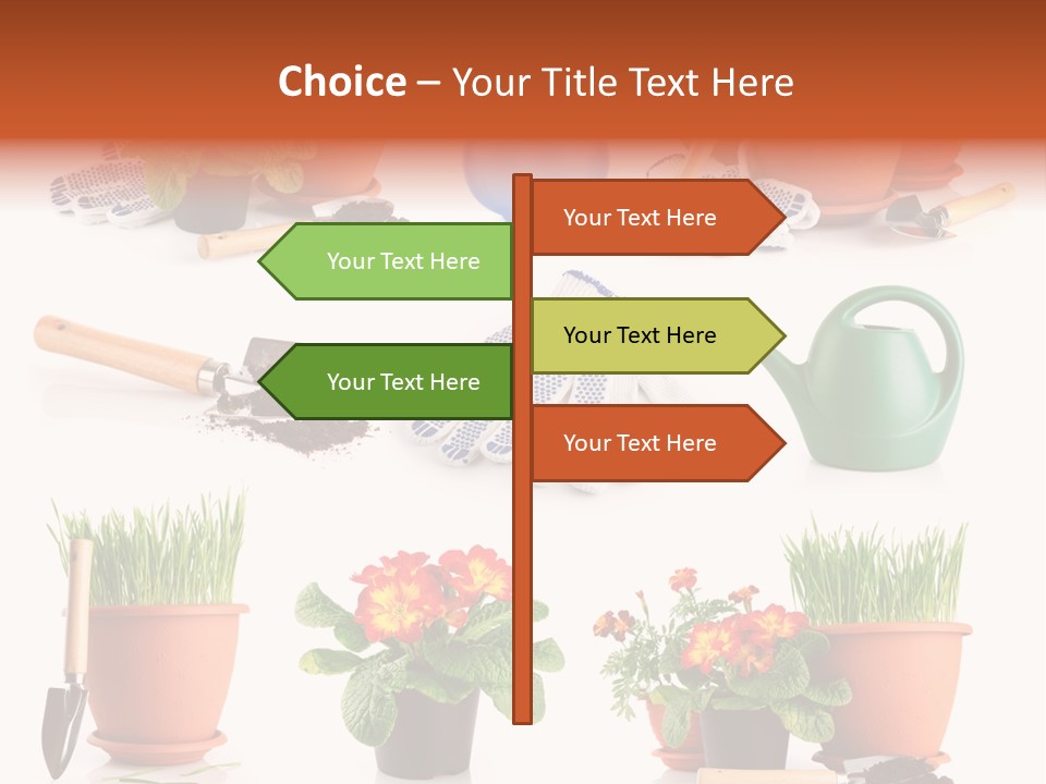 Set Leaf Red PowerPoint Template