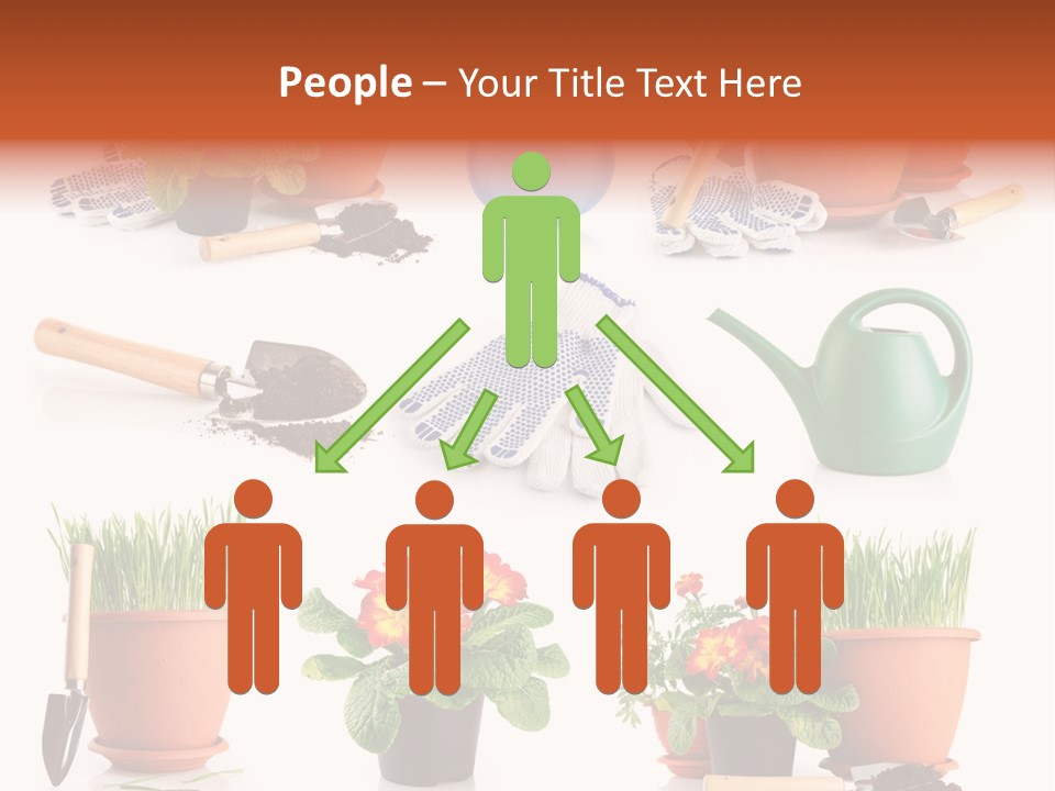 Set Leaf Red PowerPoint Template