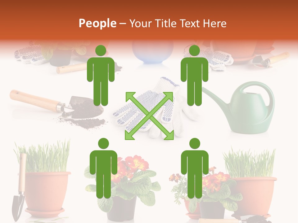 Set Leaf Red PowerPoint Template