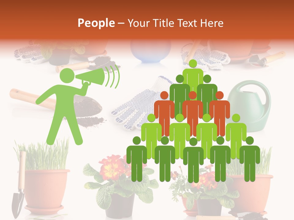 Set Leaf Red PowerPoint Template