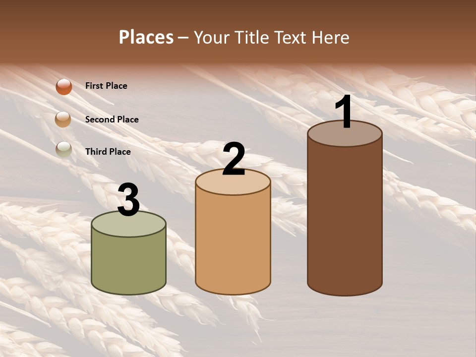 Board Landscape Organic PowerPoint Template