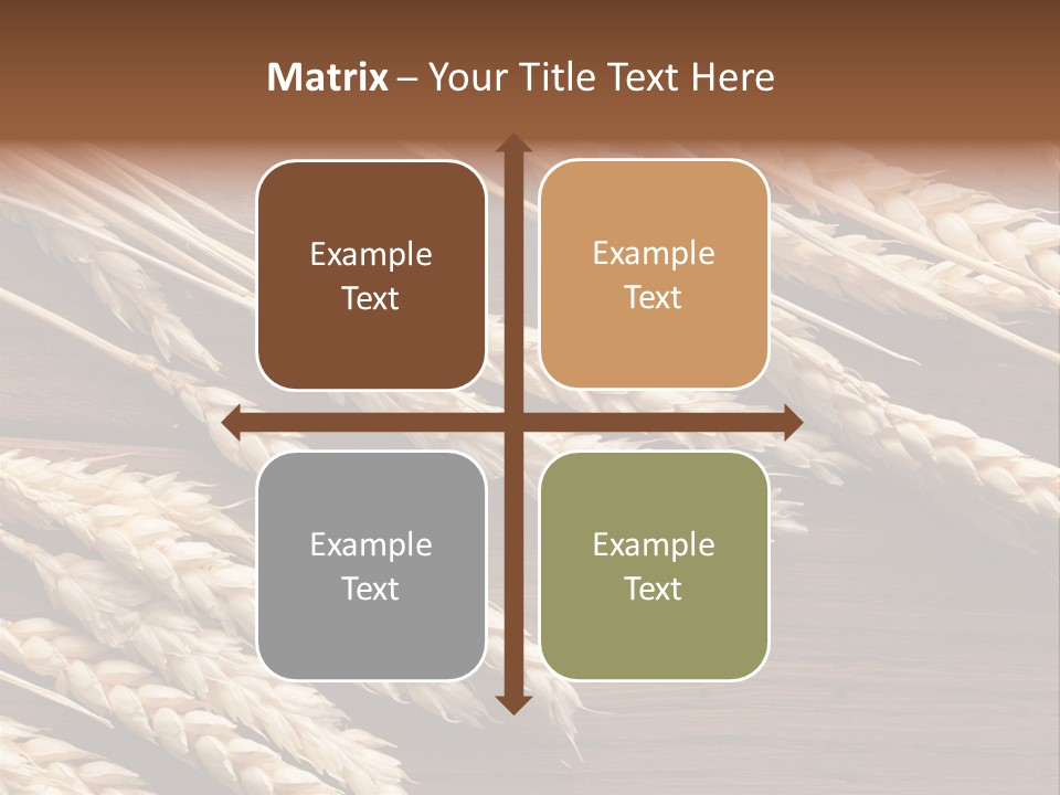 Board Landscape Organic PowerPoint Template