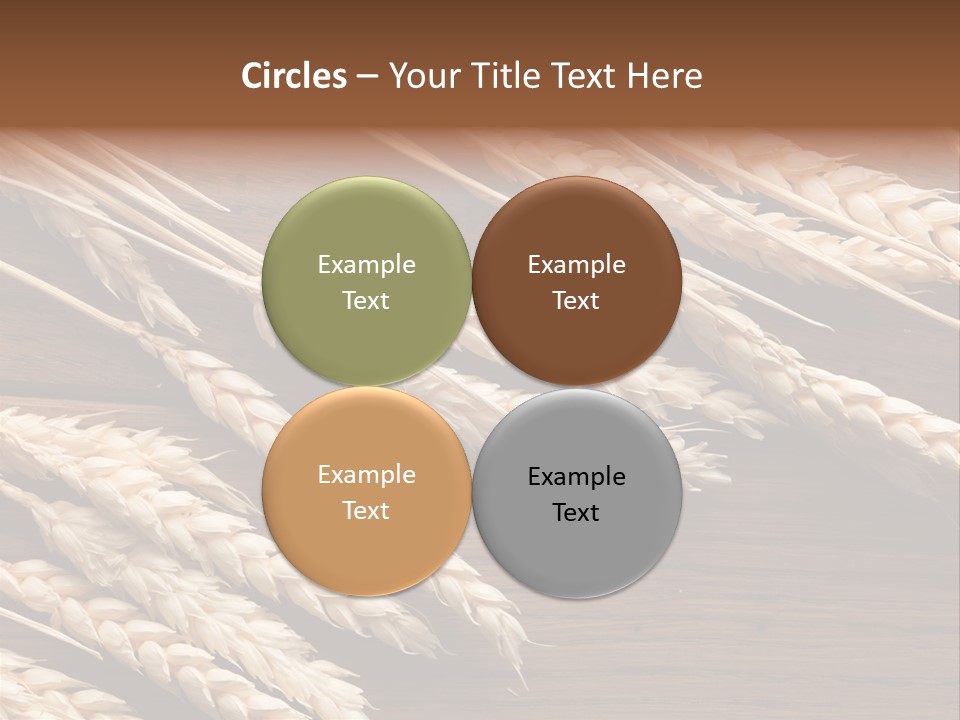 Board Landscape Organic PowerPoint Template