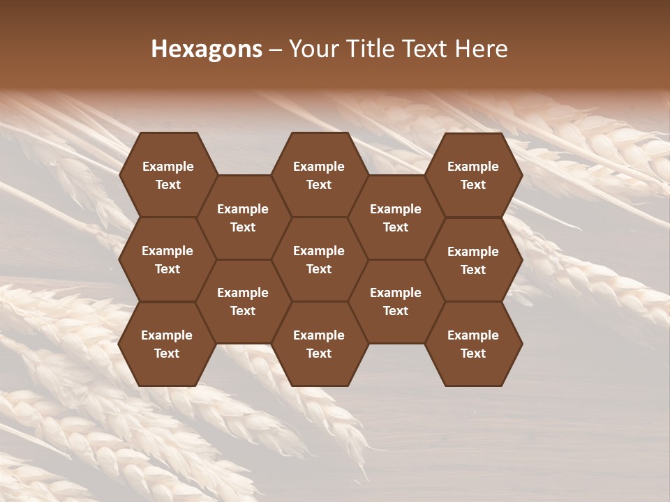 Board Landscape Organic PowerPoint Template