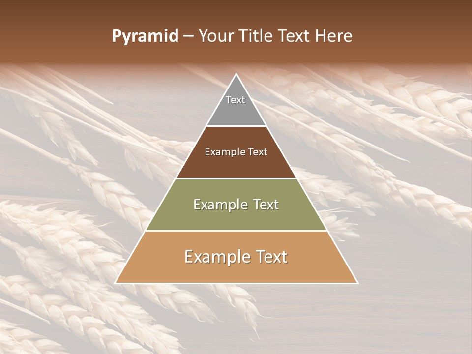 Board Landscape Organic PowerPoint Template