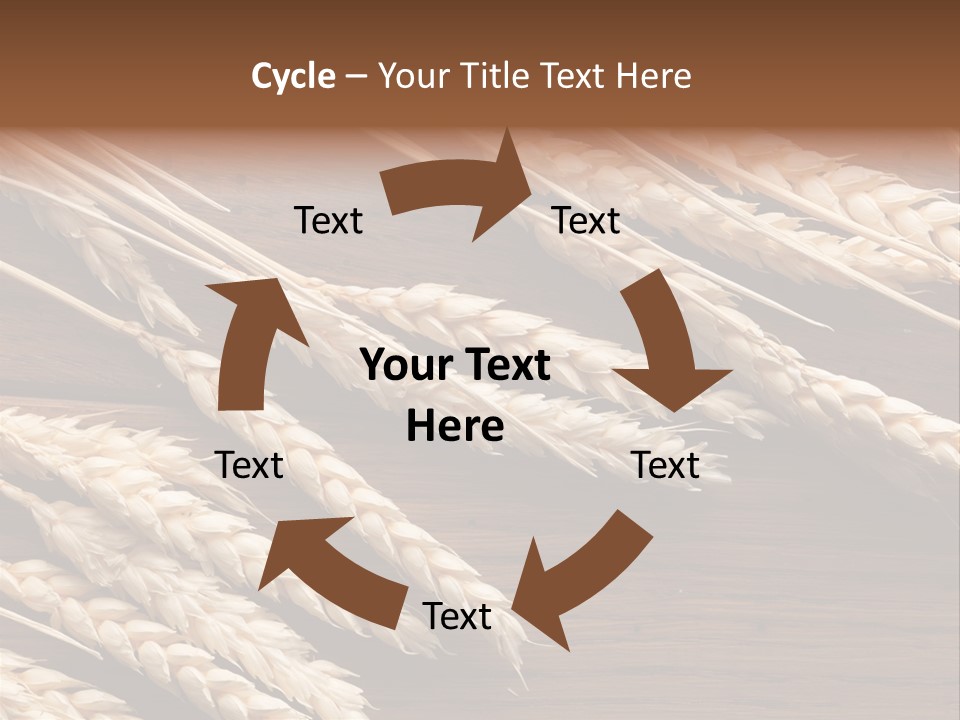 Board Landscape Organic PowerPoint Template