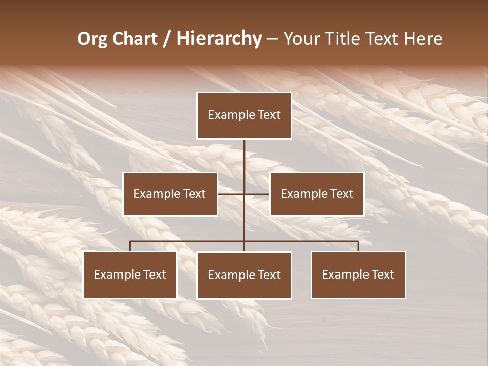 Board Landscape Organic PowerPoint Template