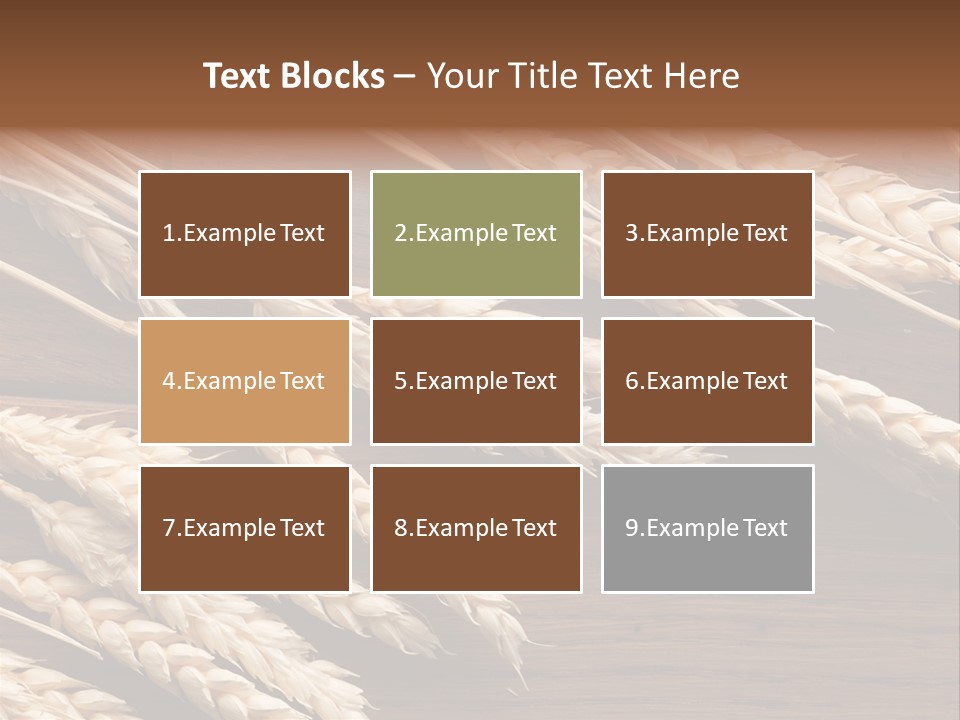 Board Landscape Organic PowerPoint Template