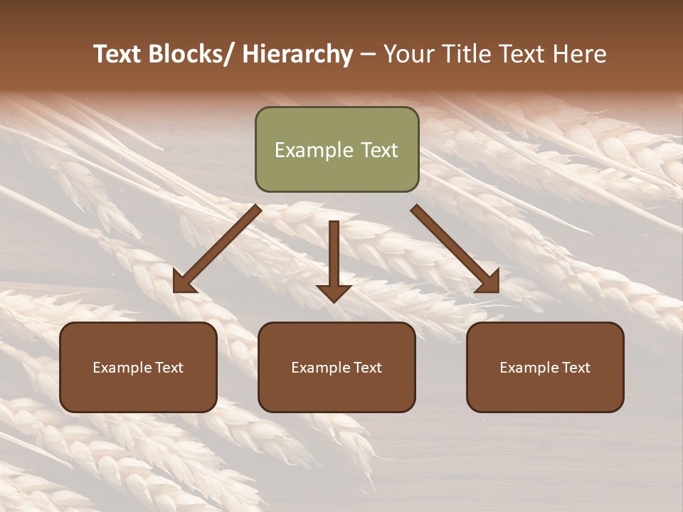 Board Landscape Organic PowerPoint Template