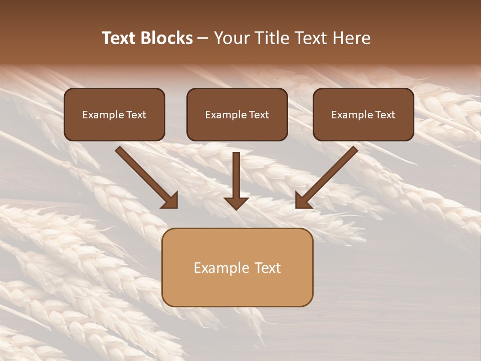 Board Landscape Organic PowerPoint Template