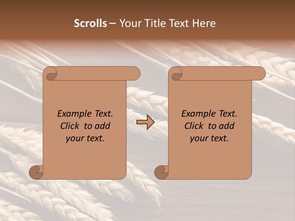 Board Landscape Organic PowerPoint Template