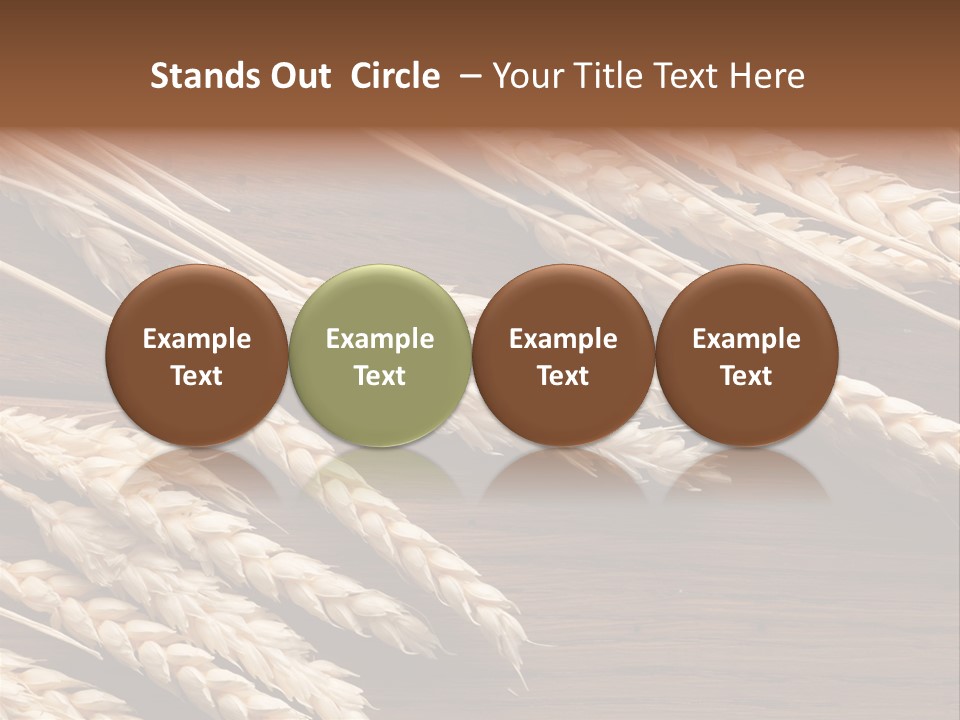 Board Landscape Organic PowerPoint Template