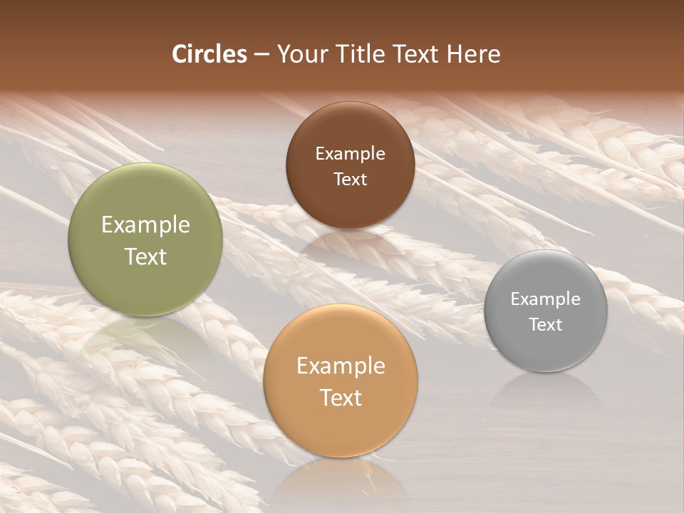 Board Landscape Organic PowerPoint Template