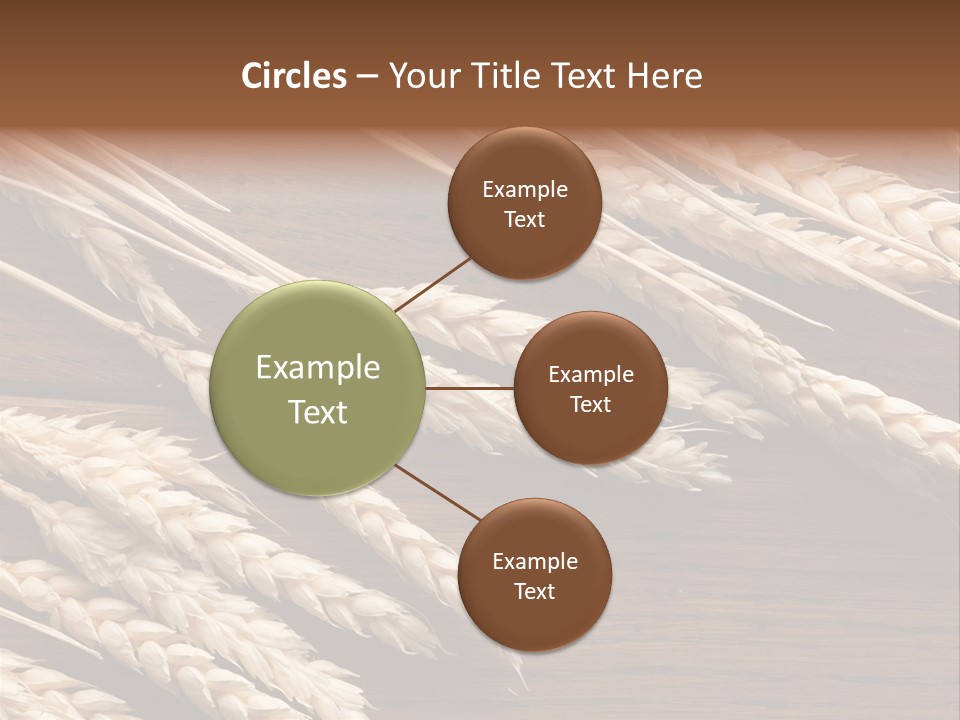 Board Landscape Organic PowerPoint Template