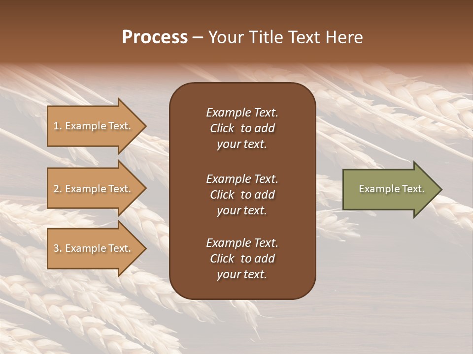 Board Landscape Organic PowerPoint Template