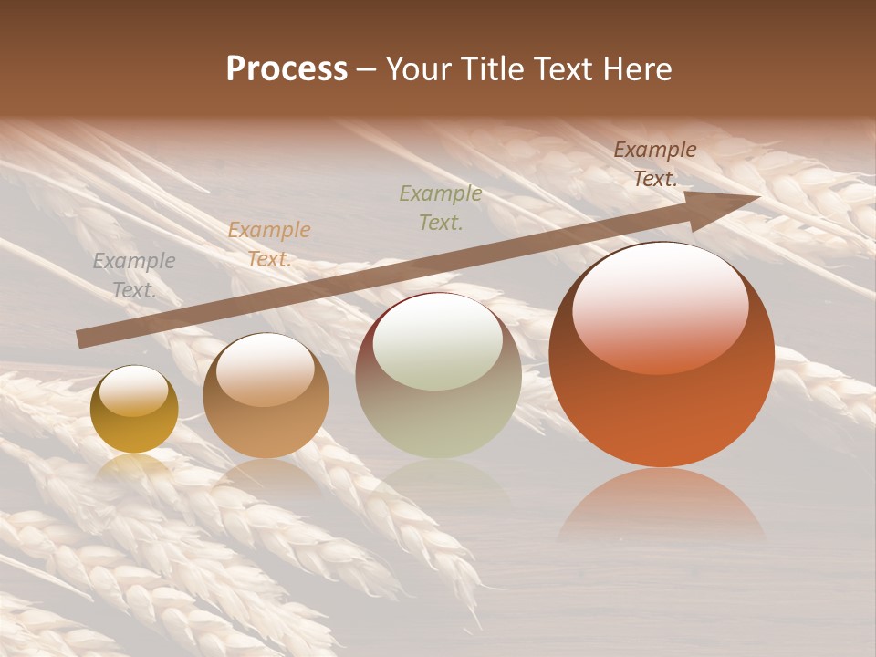 Board Landscape Organic PowerPoint Template