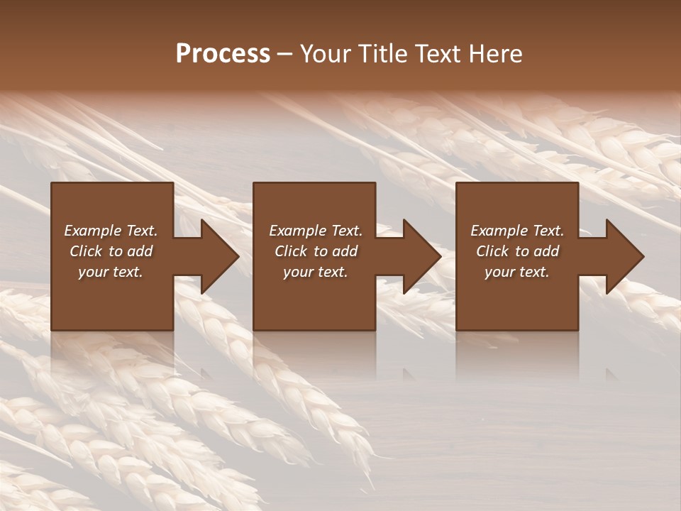 Board Landscape Organic PowerPoint Template