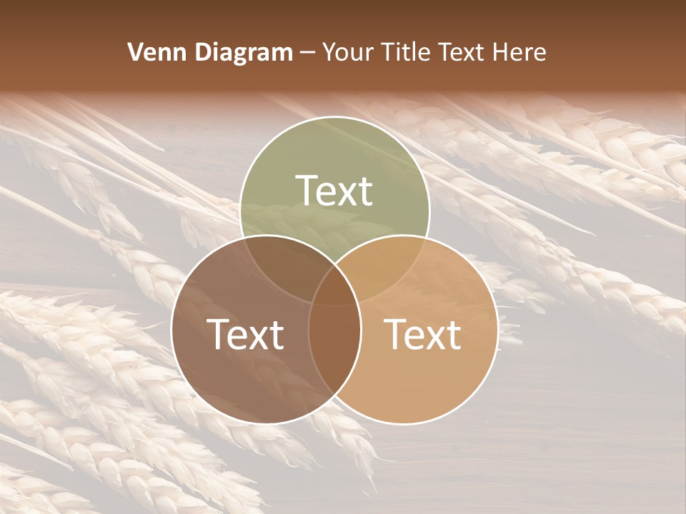 Board Landscape Organic PowerPoint Template