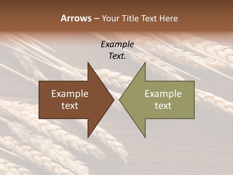 Board Landscape Organic PowerPoint Template