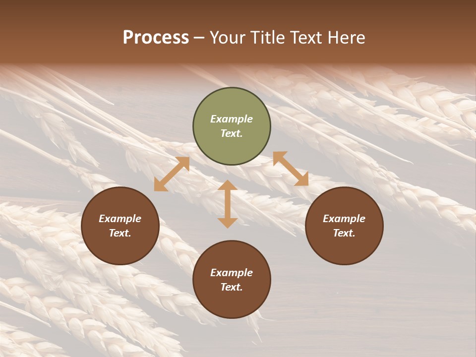 Board Landscape Organic PowerPoint Template