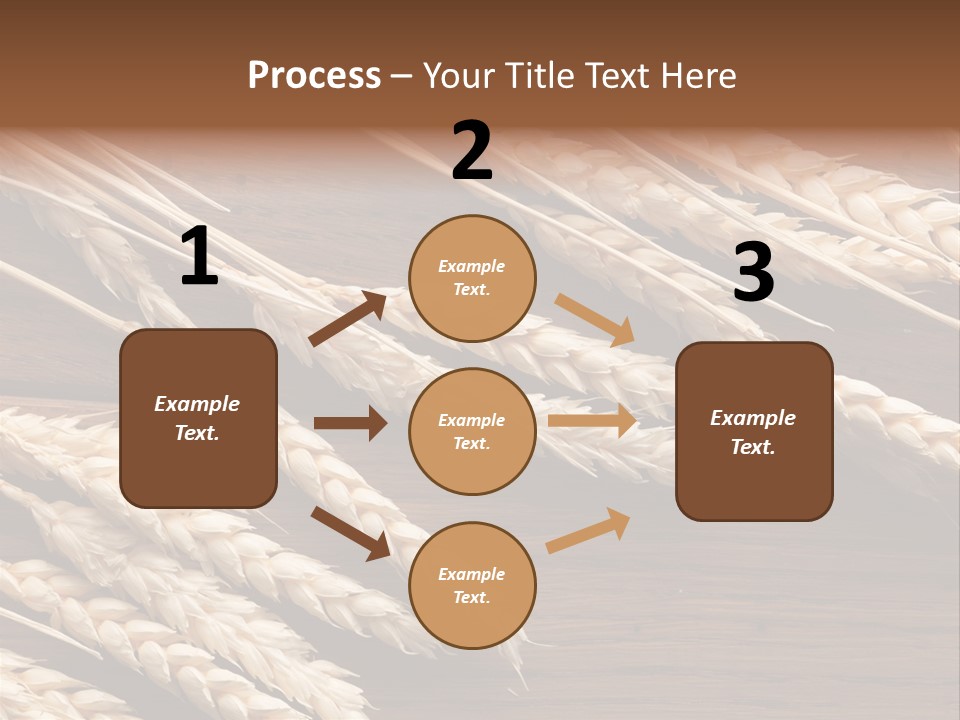 Board Landscape Organic PowerPoint Template