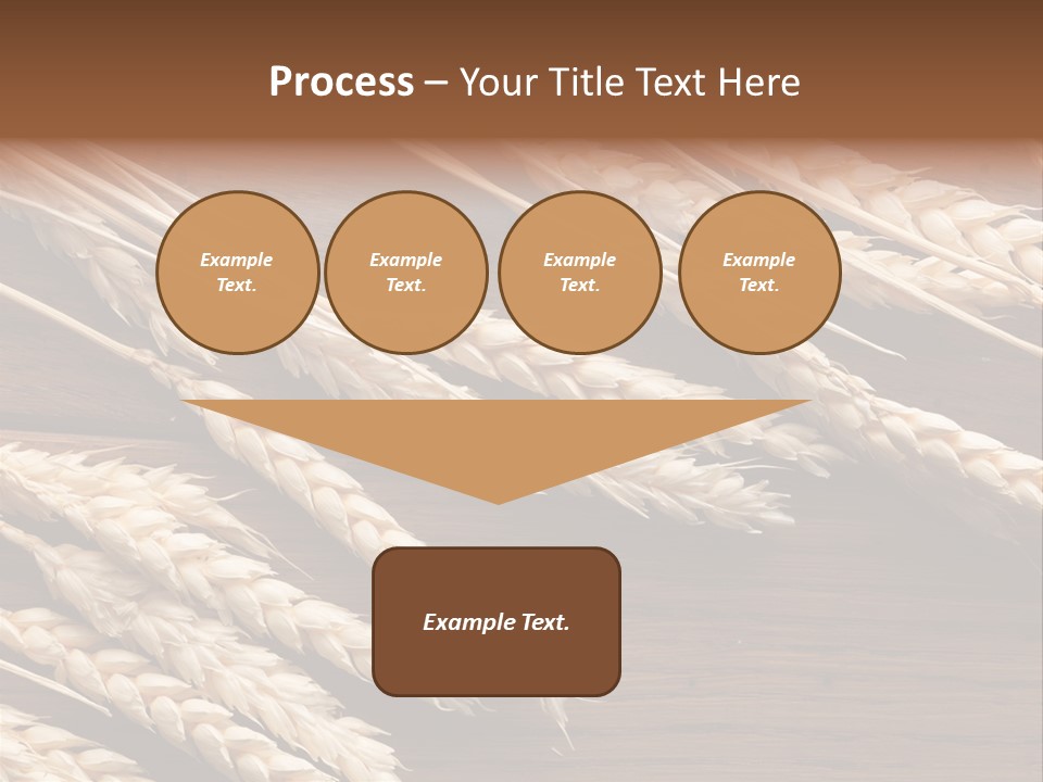 Board Landscape Organic PowerPoint Template