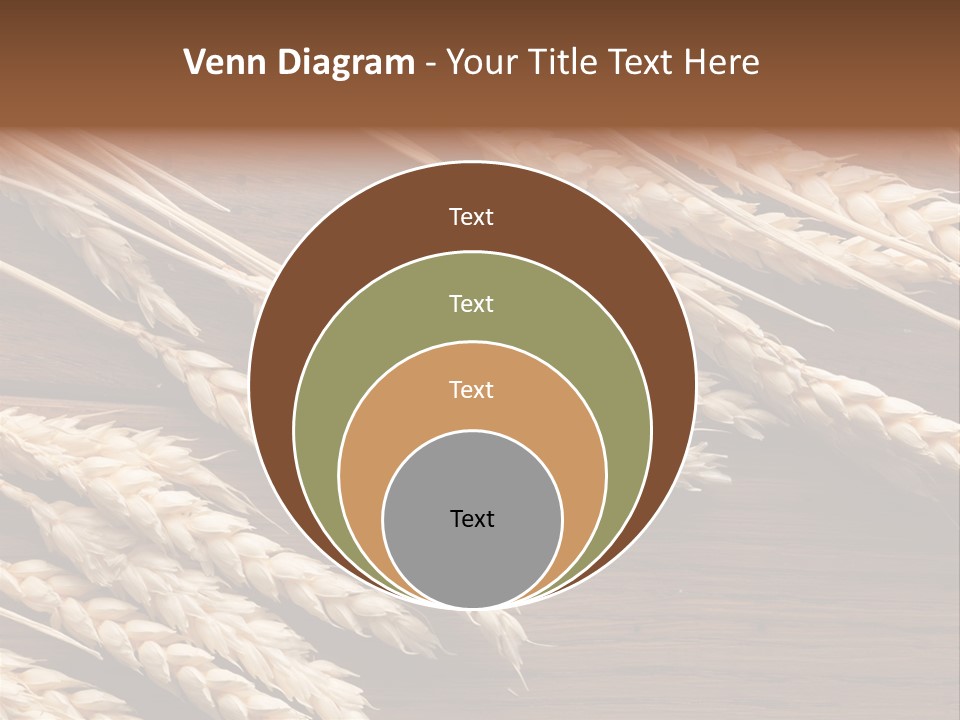 Board Landscape Organic PowerPoint Template