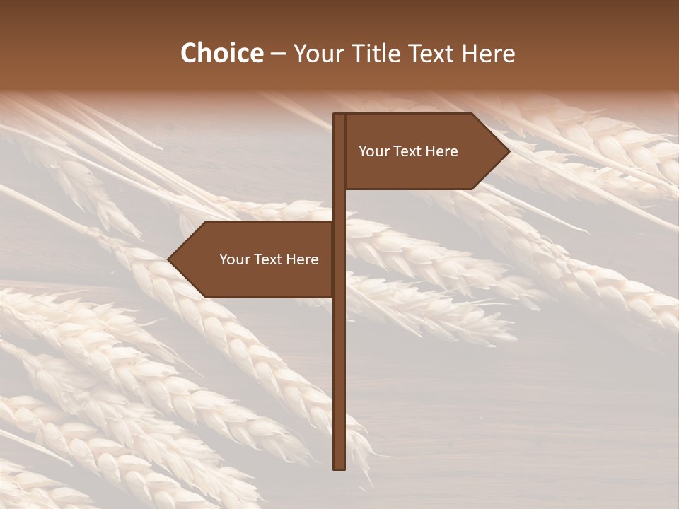 Board Landscape Organic PowerPoint Template