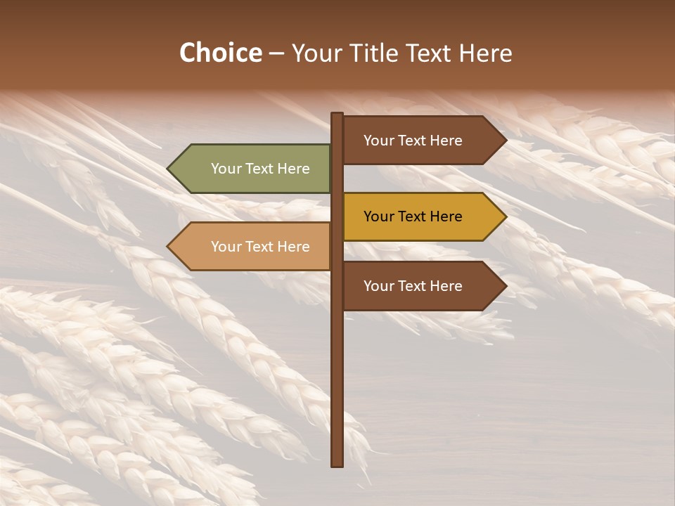 Board Landscape Organic PowerPoint Template