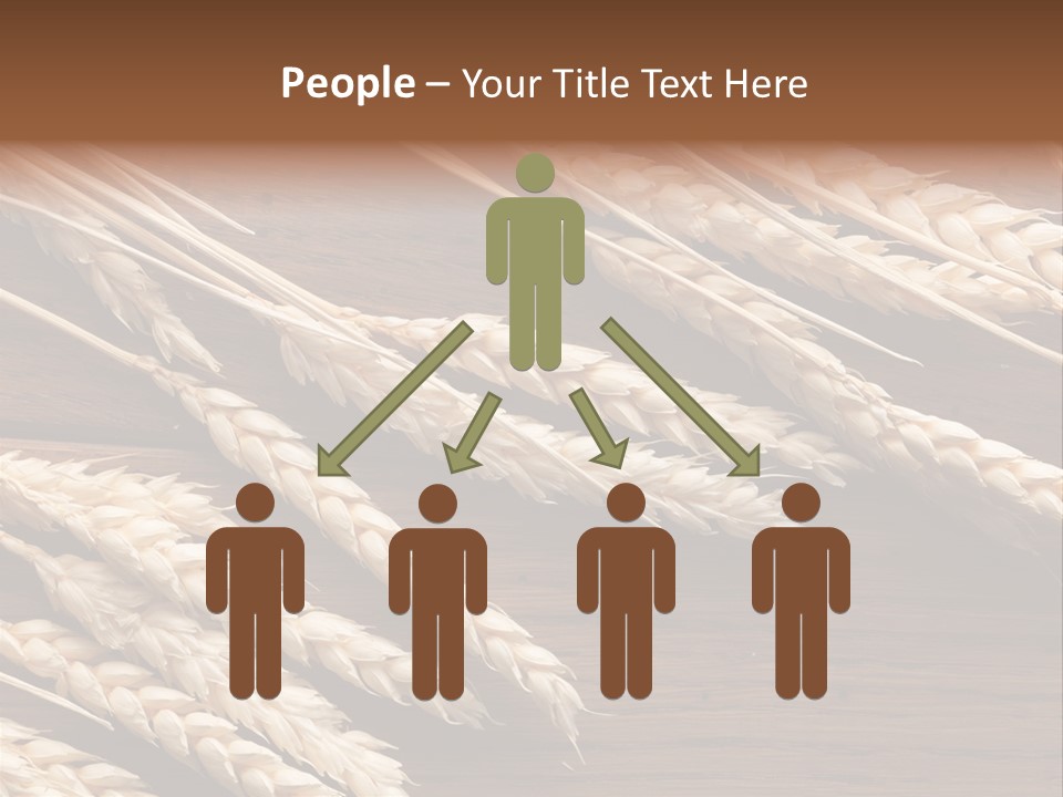 Board Landscape Organic PowerPoint Template